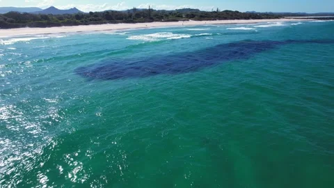 Massive Bait Ball Under The Ocean Off The Coast Of Brunswick Heads In New South 動画素材 329629638