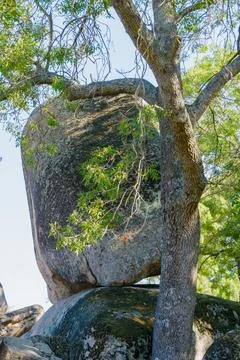 Massive balanced granite boulder resting on another rock among green trees .. Stock Photos