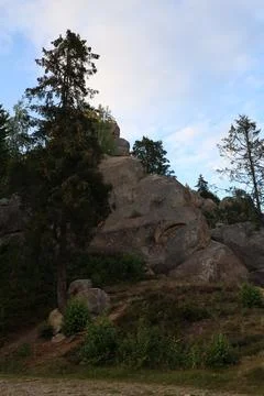 Massive Boulder With Pine Tree Stock-Fotos