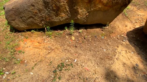 Massive Boulders Surrounded By Trees Stock Footage 138478305
