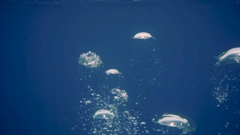 Massive bubbles rising to surface of water Video stock 241086201