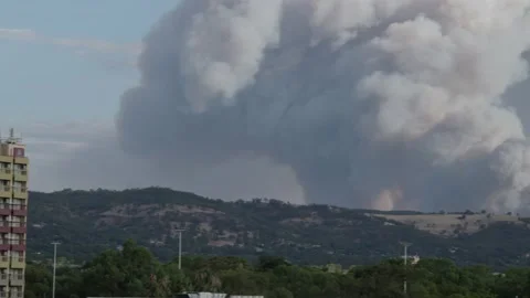 Massive bushfire Australia Video stock 147119474