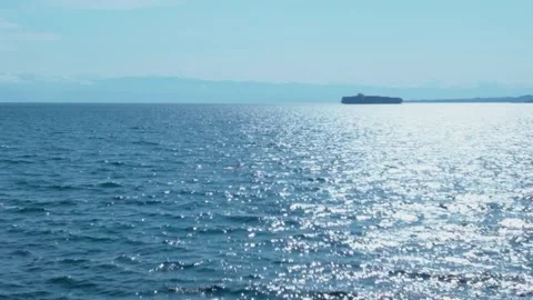 Massive Cargo Container Ship Navigating Calm Ocean Horizon at Midday Stock-Footage 347148374