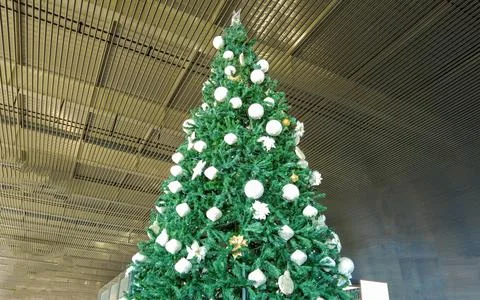 Massive Christmas Tree Stock Photos