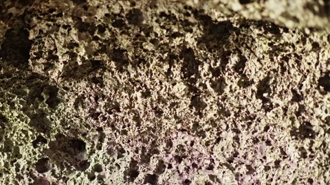Massive Coral Rock with Sharp Natural Patterns on Tropical Seashore Stock Footage 296571739