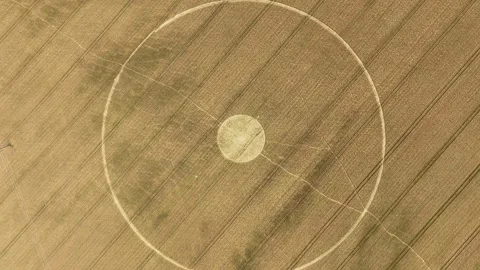 Massive Crop Circle, 4K Drone Clip Descent, Cley Hill, Wiltshire, 10 August 2023 Stock Footage 270176327
