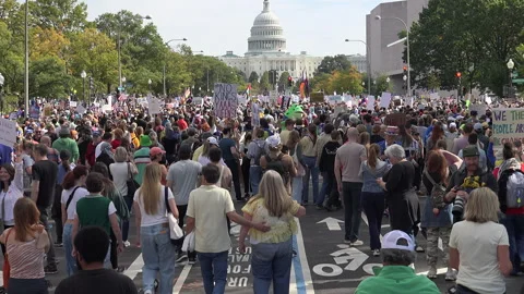 Massive crowd, Capitol in distance, No Kings protest, DC stock footage Stock Footage 319408353