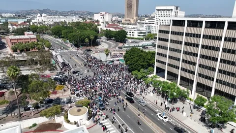Massive Crowds at Los Angeles Protest Stock Footage 336486544