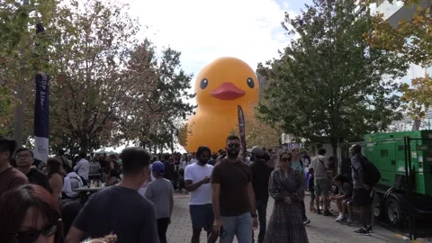 Massive crowds for world's largest inflatable duck in Toronto Stock Footage 250428036
