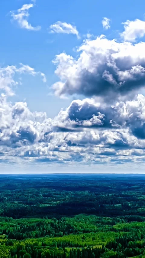 Massive cumulus clouds building over endless green forest Stock Footage 345130298