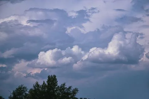 Massive cumulus clouds in an overcast sky and tree foliage silhouette Stock-Fotos