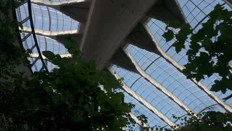 Massive Curving White Structure Of Montreal Biodome Museum Ceiling Interior In Stock Footage 317295751