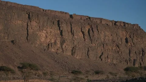 Massive Desert Cliff Face with Acacia Trees at Golden Hour Stock Footage 336025478