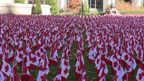 Massive display of Canadian flags for remembrance day during COVID 19 pandemic Stock Footage 142949757