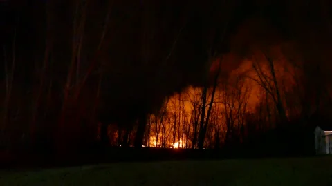 Massive flames in the forest Stock Footage 139658756