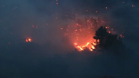 Massive forest fire with strong wind Stock Footage 78008674