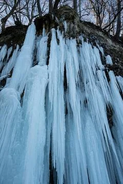 Massive frozen icicles hanging down a rocky cliff edge beneath bare winter trees Stock Photos