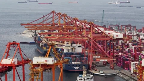 Massive gantry cranes actively unloading cargo containers from a large vessel Stock Footage 332237774