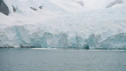 Massive Glacier Wall In Paradise Harbor, Paradise Bay On The Antarctic Stock-Footage 334697308