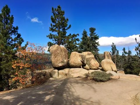 Massive Granite Boulder Formation in Pine Forest Stock Photos