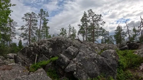 Massive granite rocks and pine trees on Aavasaksa hill summit Lapland Vidéo 340653425