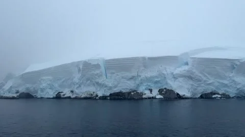 Massive Ice Cliff Along the Antarctic Peninsula Coast Stock Footage 339433746