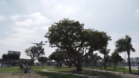 Massive jet plane lands on runway at LAX airport Stock Footage 89186580