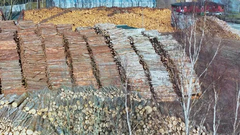Massive log stacks in lumberyard with industrial wood piles sorted by type – Stock Footage 311510780