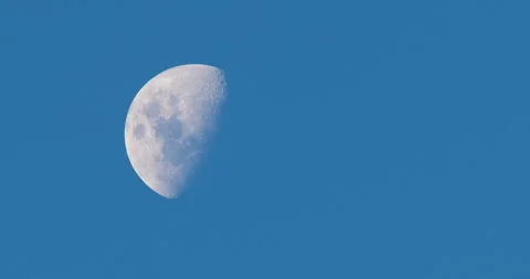 Massive Moon in Sky Video stock 262083972