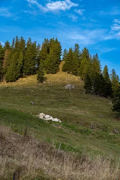 Massive mountain chain, forest and meadows of the German Alps Stock Photos