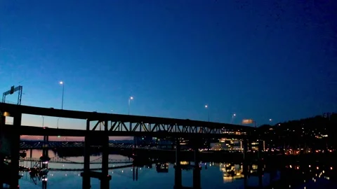 Massive Murder of Crows Flying in Portland Oregon at Sunrise Stock Footage 147226907