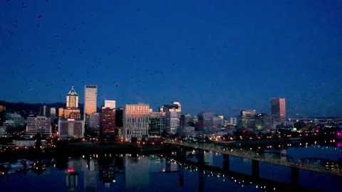 Massive Murder of Crows Flying in Portland Oregon at Sunrise Stock Footage 147227250