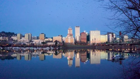 Massive Murder of Crows Flying in Portland Oregon at Sunrise Stock Footage 147228111