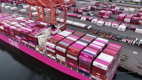 Massive ONE container ship loads beneath orange gantry crane, pink hull stacked Stock Footage 338185761