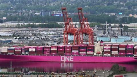 Massive ONE container ship stacked with bright pink cargo boxes docks beside Stock Footage 337670505