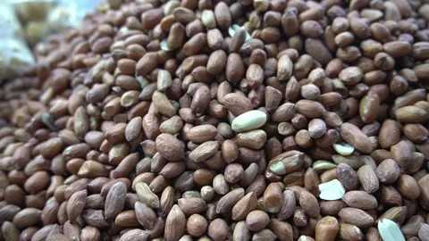 Massive Pile of Raw Shelled Peanuts Displayed at Traditional Market Stock Footage 340480426