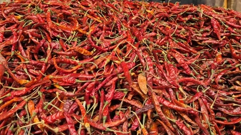 Massive Pile Of Vibrant Red Dried Chilies In Local Market Stock Footage 336647153