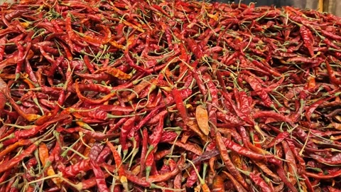 Massive Pile Of Vibrant Red Dried Chilies In Local Market Stock Footage 336647154