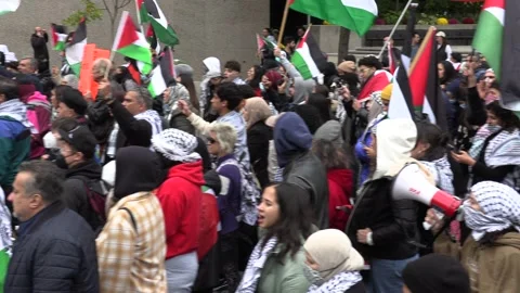 Massive pro Palestine Hamas demonstration in Toronto against Israel war Stock Footage 252631707