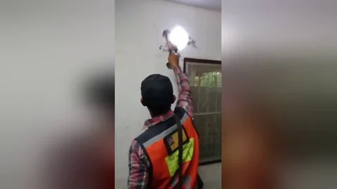 Massive python caught hiding inside living room wall Stockbeeldmateriaal 106301099