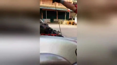 Massive python pulled out of car engine in Thailand 스톡 동영상 106316967