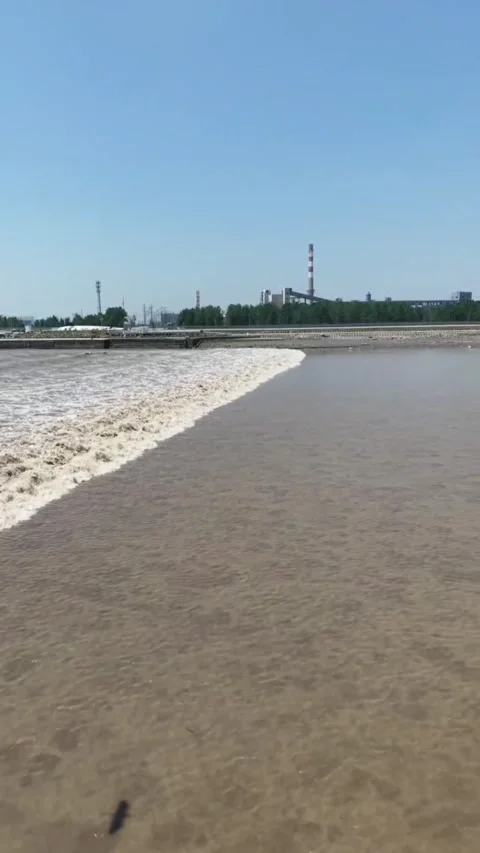 Massive Qiantang River Tidal Bore Rushing Across River, Zhejiang, China Vídeo Stock 337386062