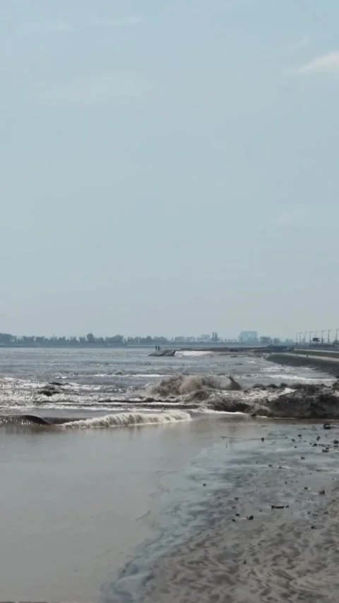 Massive Qiantang River Tidal Bore Waves Crashing on the Zhejiang Coastline Видео 337598495