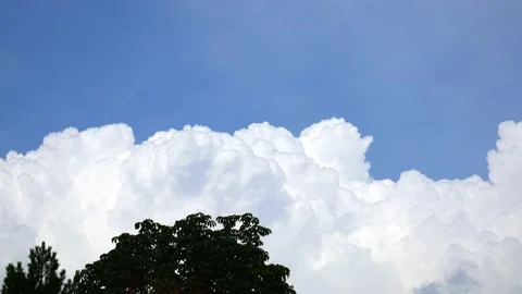 A massive rain cloud is evolving over the treetops Stock Footage 134906975
