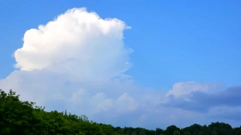 Massive rain clouds, cumulus congestus and cumulonimbus, forming in the blue sky Stock Footage 156545542