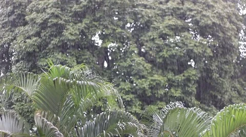 Massive Rainfall Asia Video stock 42707523