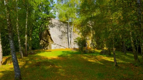 Massive Rock and Birch Trees with Golden Leaves Video stock 316303850