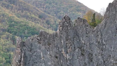 Massive Rock Formation Amidst Forest Stock Footage 265841739