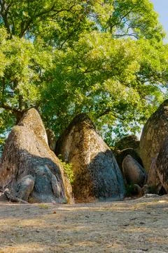 Massive rock formations under a large green tree in natural summer landscape Stock Photos