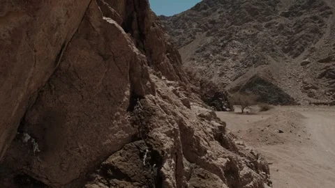 Massive rocky cliff overlooking arid desert canyon with solitary tree 스톡 동영상 346246735